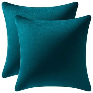 Throw Pillow Cases 20x20 Teal: 2 Pack Cozy Soft Velvet Square Decorative